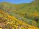 imgp2697_small.jpg