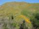 imgp2701_small.jpg