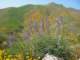imgp2707_small.jpg