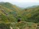 imgp2709_small.jpg