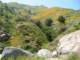 imgp2710_small.jpg