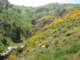 imgp2711_small.jpg