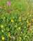 imgp2714_small.jpg