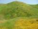 imgp2718_small.jpg