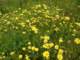 imgp2719_small.jpg