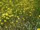 imgp2721_small.jpg