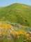 imgp2722_small.jpg