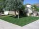 My lawn always looks good in November.  11/2007