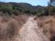 Horsethief Canyon trail 10/8/2008