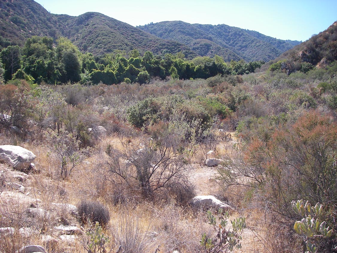 Horsethief Canyon 10/8/2008
