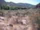 Horsethief Canyon 10/8/2008