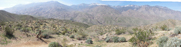 Indian Canyons panorama looking west to the San Jacinto Mountains 2/27/2009