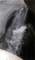 imgp1983b_small.jpg
