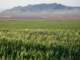 imgp2764_small.jpg