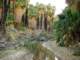 imgp2765_small.jpg
