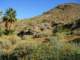 imgp2772_small.jpg