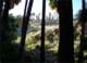 imgp2775_small.jpg