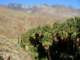 imgp2776_small.jpg