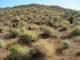imgp2781_small.jpg