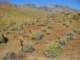 imgp2782_small.jpg