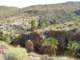 imgp2785_small.jpg