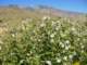 imgp2787_small.jpg