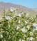 imgp2787b_small.jpg