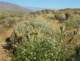 imgp2788_small.jpg