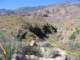 imgp2789_small.jpg