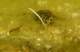 imgp2793_small.jpg