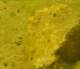 imgp2794_small.jpg