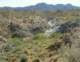imgp2795_small.jpg