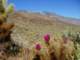 imgp2796_small.jpg