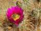 imgp2798_small.jpg
