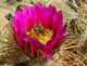 imgp2799_small.jpg