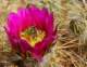 imgp2800_small.jpg