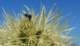 imgp2802_small.jpg