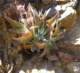 imgp2810_small.jpg