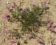 imgp2815_small.jpg