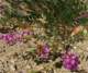 imgp2816_small.jpg