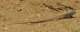 imgp2820_small.jpg