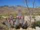 imgp2822_small.jpg