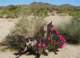 imgp2823_small.jpg