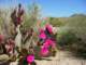 imgp2824_small.jpg