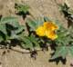 imgp2826_small.jpg