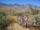 imgp2827_small.jpg