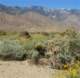 imgp2829_small.jpg