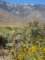imgp2830_small.jpg