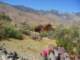 imgp2831_small.jpg