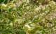 imgp2834_small.jpg